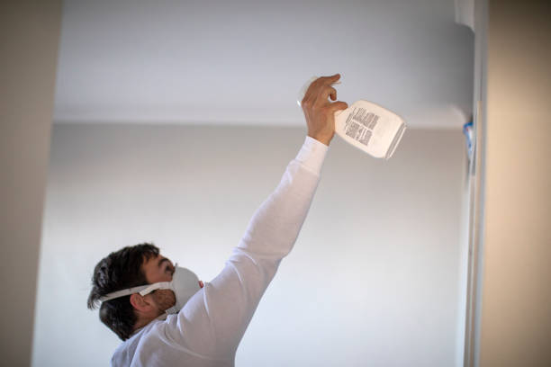 Best Mold Testing and Removal  in Bellmead, TX